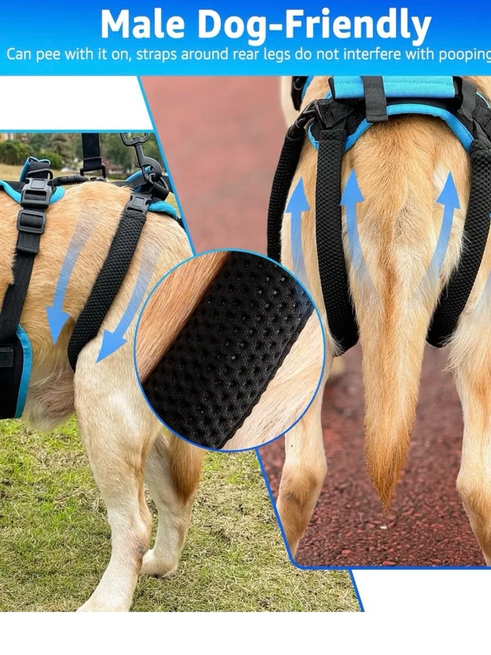 Dog Lift Harness for Large Male Dogs 2-in-1 Detachable Support Harness Size XL